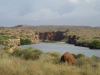 Cape Range Nationalpark